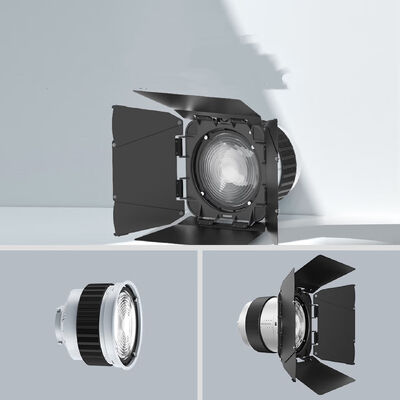 F20 Fresnel Lens Universal Bowen Mounts Studio Light Condenser for Photography Light fournisseur