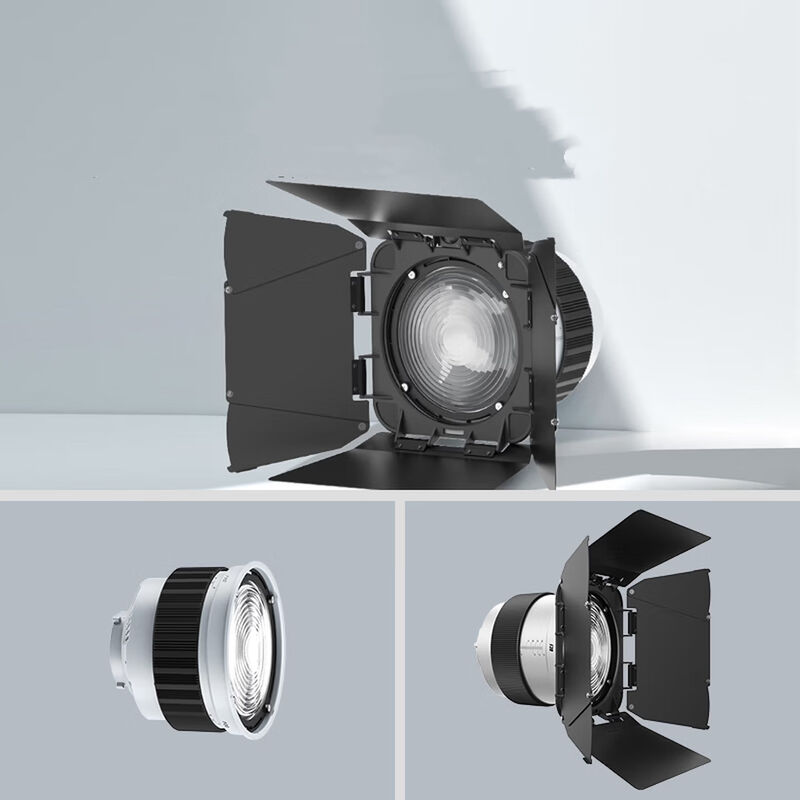 F20 Fresnel Lens Universal Bowen Mounts Studio Light Condenser for Photography Light fournisseur